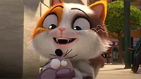 Кот-супергерой 44 Котенка Кот-супергерой