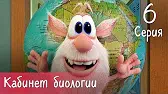 Буба Кабинет биологии