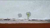Рождественское яблоко Букашки Рождественское яблоко