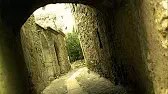 Бездомная муха Букашки Бездомная муха