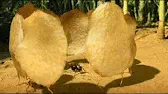 Картофельные чипсы Букашки Картофельные чипсы