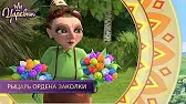 Рыцарь ордена заколки Царевны Рыцарь ордена заколки