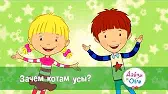 Зачем котам усы? Дейзи и Олли Зачем котам усы?