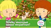 Почему некоторые запахи неприятные? Дейзи и Олли Почему некоторые запахи неприятные?