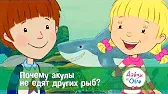 Почему акулы не едят других рыб? Дейзи и Олли Почему акулы не едят других рыб?