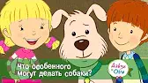 Что особенного могут делать собачки? Дейзи и Олли Что особенного могут делать собачки?