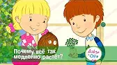 Почему всё так медленно растёт? Дейзи и Олли Почему всё так медленно растёт?