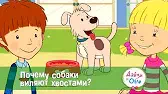 Почему собаки виляют хвостами? Дейзи и Олли Почему собаки виляют хвостами?