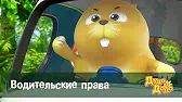 Водительские права Дуда и Дада Водительские права
