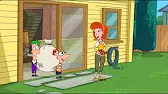 Говорящие с ящером / Роботородео Финес и Ферб Говорящие с ящером Роботородео