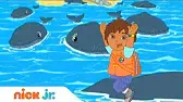 Диего выручает китёнка Гоу, Диего, Гоу! Диего выручает китёнка