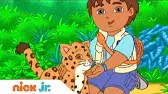 Спасение красноглазых древесных лягушек Гоу, Диего, Гоу! Спасение красноглазых древесных лягушек
