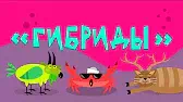 Гибриды Капитан Краб Гибриды
