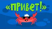 Привет! Капитан Краб Привет!