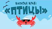 Птицы Капитан Краб Птицы