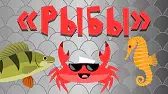 Рыбы Капитан Краб Рыбы
