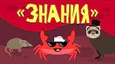 Знания Капитан Краб Знания