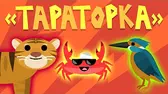Тараторка Капитан Краб Тараторка