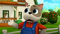 Почтовый квест Кошечки-собачки Почтовый квест