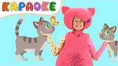 Киса Кошка Кукутики Киса Кошка