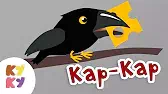 КАР КАР Кукутики КАР КАР