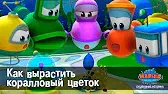 Как вырастить коралловый цветок Марин и его друзья Как вырастить коралловый цветок