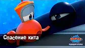 Спасение кита Марин и его друзья Спасение кита
