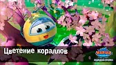 Цветение кораллов Марин и его друзья Цветение кораллов