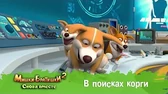 В поисках корги Мишки-Братишки. Снова вместе В поисках корги