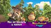 Как не попасть в капкан Мишки-братишки. В поисках тигра Как не попасть в капкан