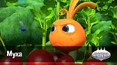 Муха Овощная вечеринка Муха
