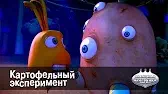 Картофельный эксперимент Овощная вечеринка Картофельный эксперимент