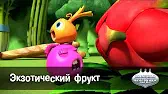 Экзотический фрукт Овощная вечеринка Экзотический фрукт