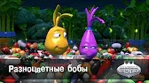 Разноцветные бобы Овощная вечеринка Разноцветные бобы
