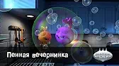 Пенная вечеринка Овощная вечеринка Пенная вечеринка