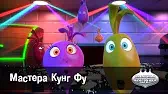 Мастера Кунг Фу Овощная вечеринка Мастера Кунг Фу