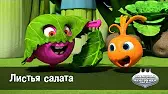 Листья салата Овощная вечеринка Листья салата