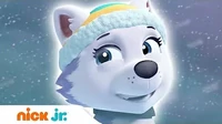 Новенький щенок Щенячий патруль Новенький щенок