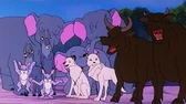 Клуб «Фрикаделька» Симба-футболист Клуб «Фрикаделька»