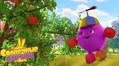 Солнечный урожай Солнечные зайчики Солнечный урожай
