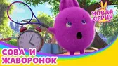 Сова и жаворонок Солнечные зайчики Сова и жаворонок