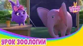 Урок зоологии Солнечные зайчики Урок зоологии