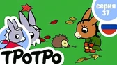 Тротро и ёжик Тротро и ёжик