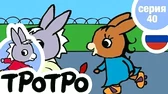 Тротро – чемпион по дзюдо Тротро – чемпион по дзюдо