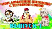 Мои домашние питомцы 1 часть Уроки тётушки Совы Мои домашние питомцы 1 часть