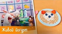 Живой йогурт Готовим с Бубой Живой йогурт