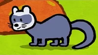 Нарисуй хорька Рисунки Тёмы Нарисуй хорька